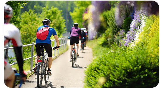 Adult Lightweight  Trek Bike