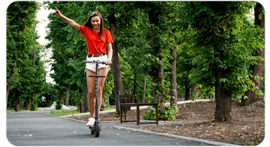 Adult Lightweight  Trek Bike