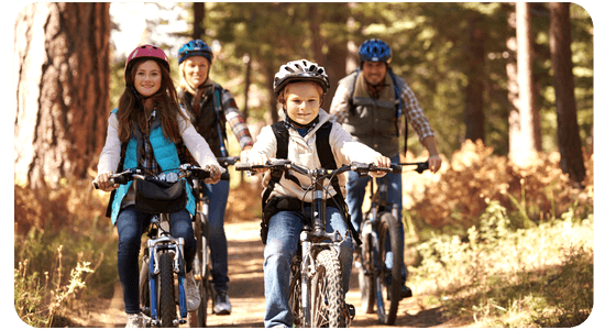 Adult Lightweight  Trek Bike